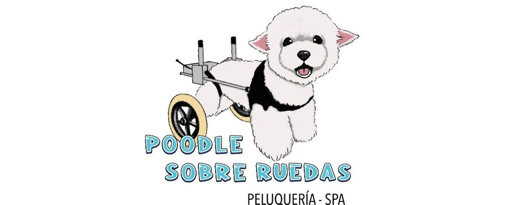 Poodle Sobre Ruedas